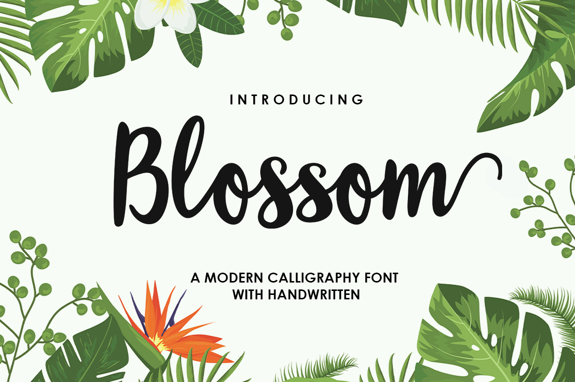 Blossom Script Font: A Web Designer’s Real-World Review