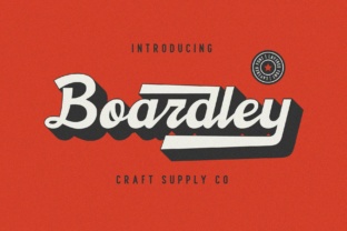 Boardley Script: A Bold, Layered Font for Scroll-Stopping Campaigns