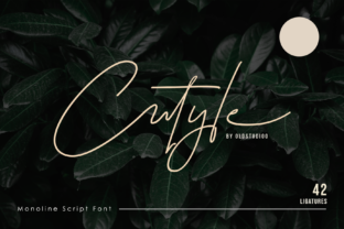Cutyle Script: A Thoughtful Monoline Typeface for Editorial Calm