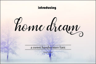 Home Dream Script: A Designer’s Real-World Review