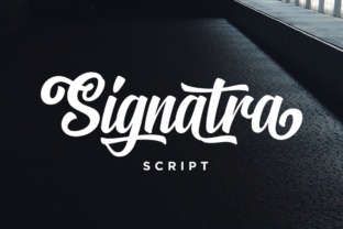 Signatra Script: A Playful Yet Polished Display Font for Campaign Visuals