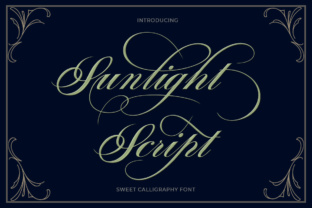 Sunlight Script: A Premium Script Font for Scroll-Stopping Brand Content