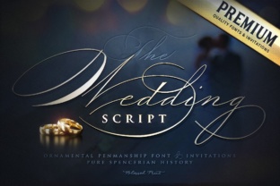 Wedding Script: A Refined Script Font for Elegant Brand Moments