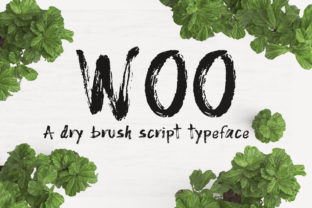 Woo Dry Brush Font in a Real Branding Project